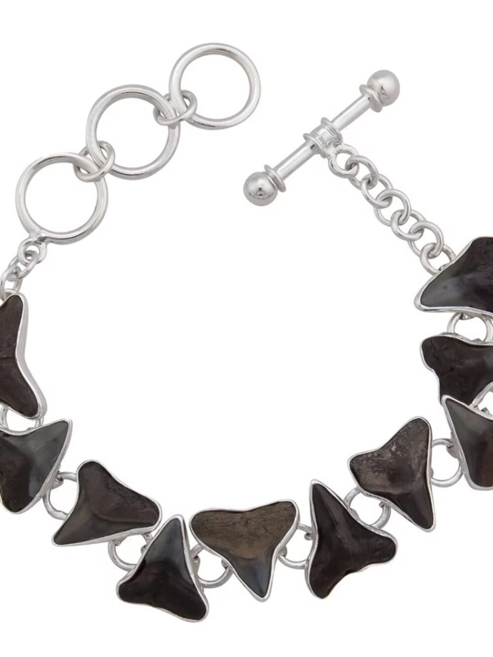 Charles Albert - Shark Tooth Fossil Sterling Silver Bracelet